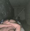 foto do perfil passivofofinho17
